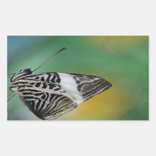 Black and White Tiger Butterfly Rectangular Sticker