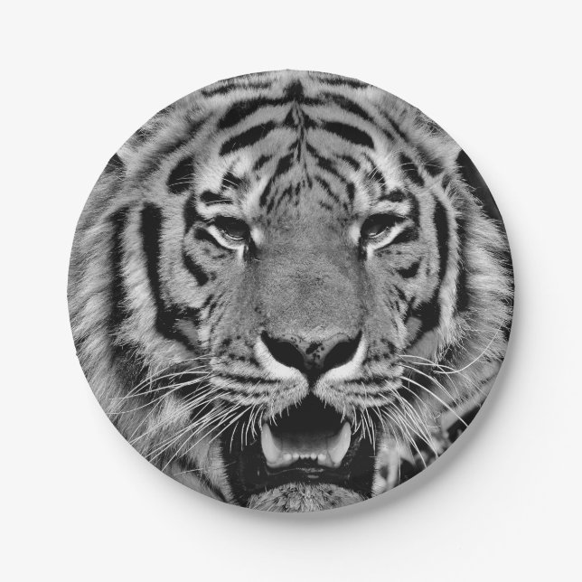 Black and White Tiger Face Paper Plate (Front)