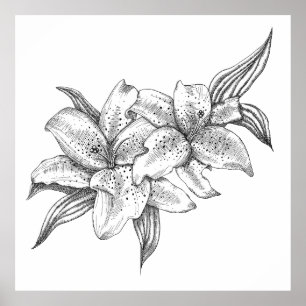 Black and White Tiger Lily Poster