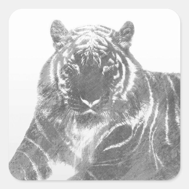 Black and White Tiger Square Sticker (Front)