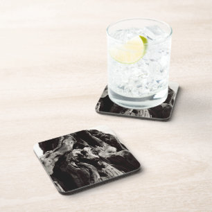 Black and White Tree Bark Coaster