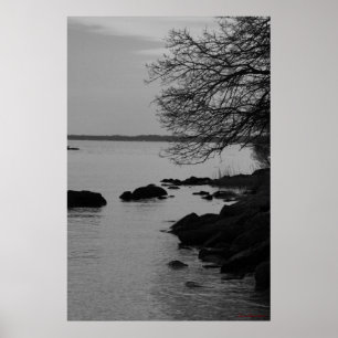 Black and White Tree Over Bay #5845 Poster