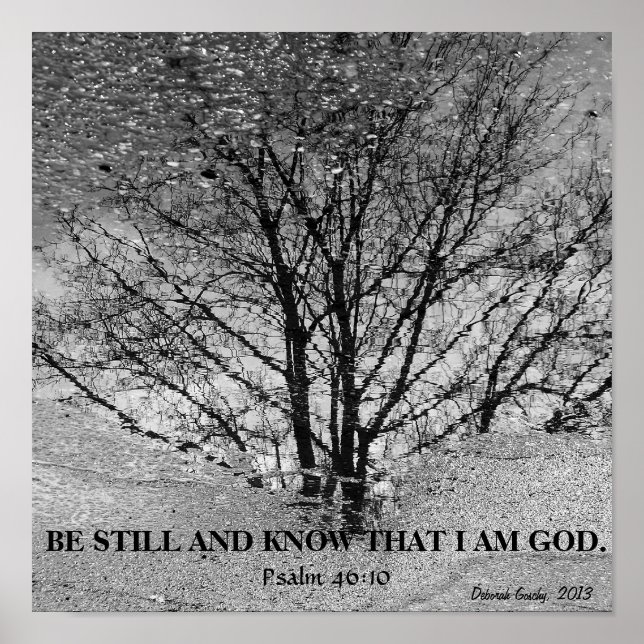 Black and white tree reflection poster (Front)