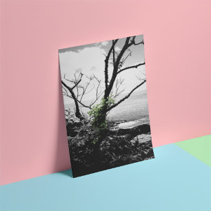 Black And White Tree With Green Vines Photo Print
