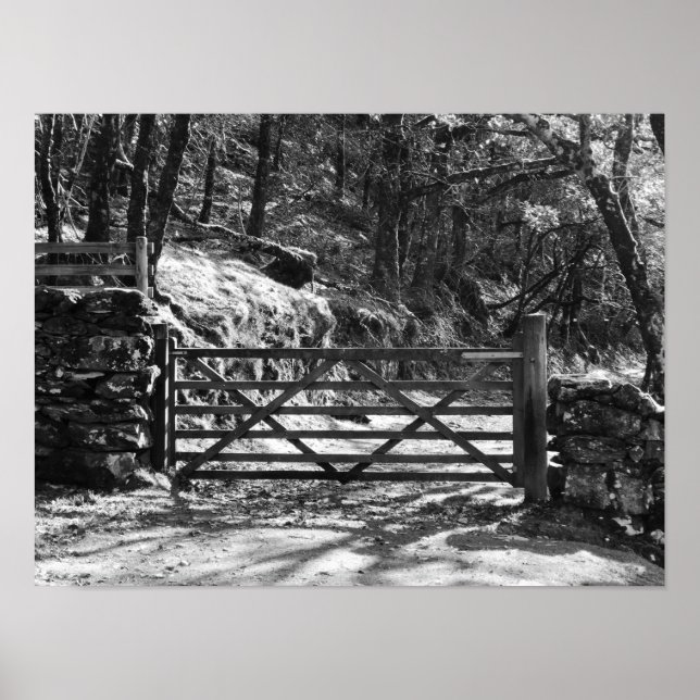 BLACK AND WHITE TREES AND GATE LANDSCAPE POSTER (Front)