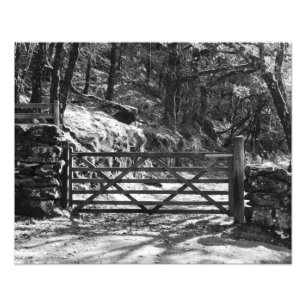 BLACK AND WHITE TREES AND GATE   PHOTO PRINT
