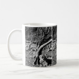 BLACK AND WHITE TREES    COFFEE MUG