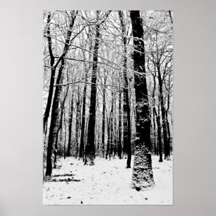 Black and White Trees in Winter Poster