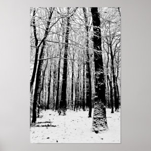 Black and White Trees in Winter Poster
