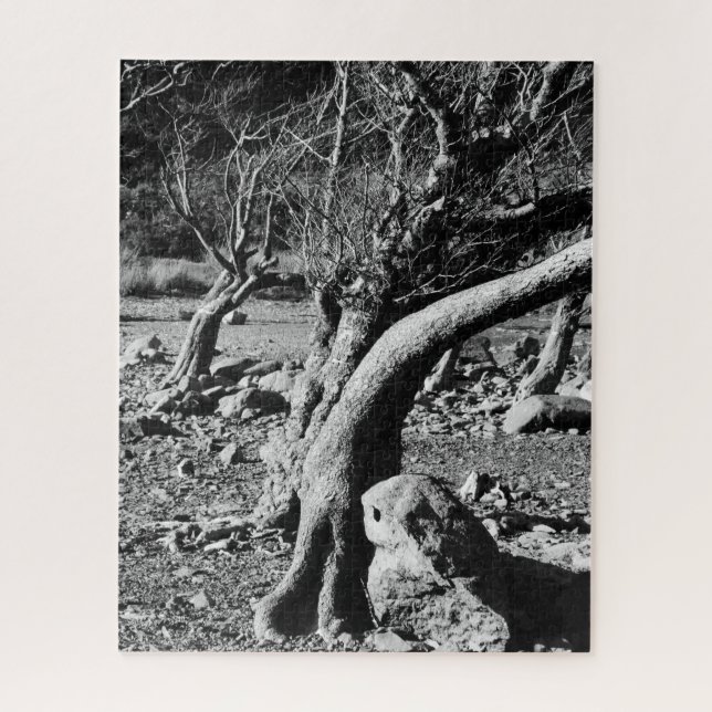 BLACK AND WHITE TREES  JIGSAW PUZZLE (Vertical)