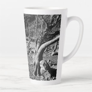 BLACK AND WHITE TREES    LATTE MUG
