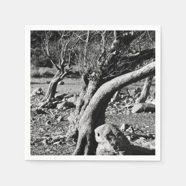 BLACK AND WHITE TREES   NAPKIN (Front)