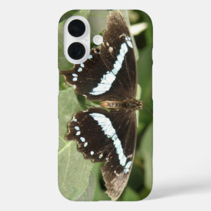 Black and White Tropical Butterfly iPhone Case