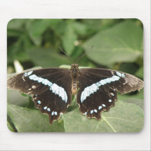 Black and White Tropical Butterfly Mousepad