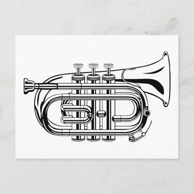 Black and White Trumpet Sketch Musical Instrument Postcard (Front)