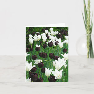 "Black and White Tulips" notecard