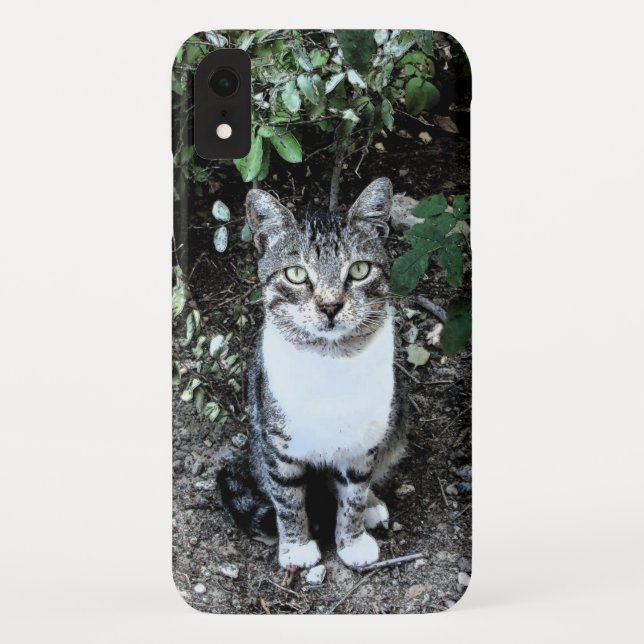 BLACK AND WHITE TURKISH CAT RONIN Case-Mate iPhone CASE (Back)