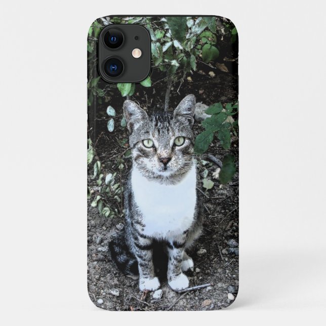 BLACK AND WHITE TURKISH CAT RONIN Case-Mate iPhone CASE (Back)