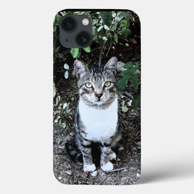 BLACK AND WHITE TURKISH CAT RONIN Case-Mate iPhone CASE (Back)