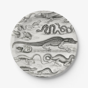 Black and White Turtle Reptiles Alligators Paper Plate