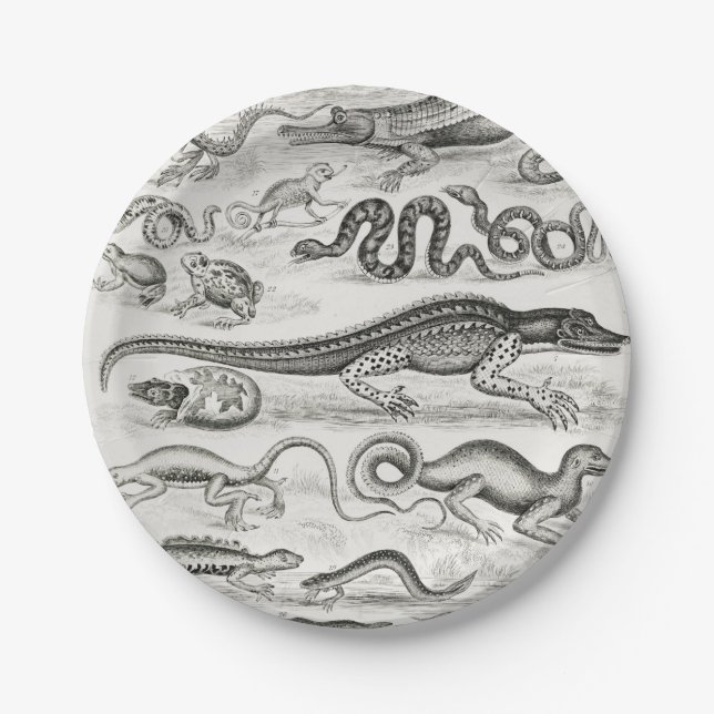 Black and White Turtle Reptiles Alligators Paper Plate (Front)