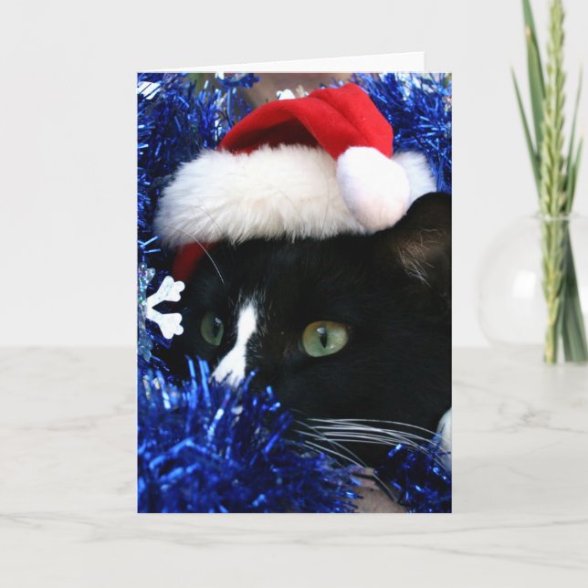 Black and white tuxedo cat christmas hat tinsel holiday card (Front)