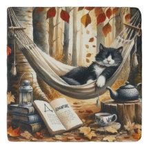 Black and White Tuxedo Cat Dreaming of Adventure