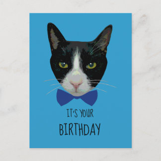 Black and White Tuxedo Cat - It's Your Birthday Postcard