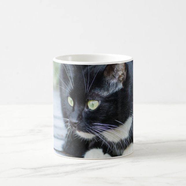 Black and White Tuxedo Cat Photo Coffee Mug (Center)