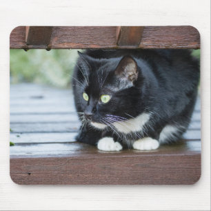 Black and White Tuxedo Cat Photo Mouse Pad