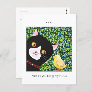 Black and white Tuxedo cat with chick Hello friend Postcard