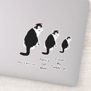 Black and White Tuxedo Cats