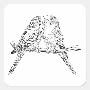 Black and white Two Budgies Perched Together Square Sticker