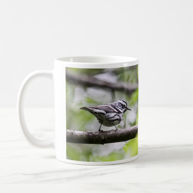 Black-and-white Warbler Coffee Mug (Left)