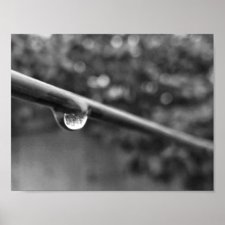 black and white water drop photo poster
