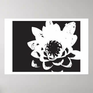 black and white waterlily poster