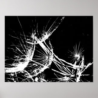 Black and White whisps Poster