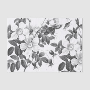 Black and White Wild Rose Flower Tissue Paper