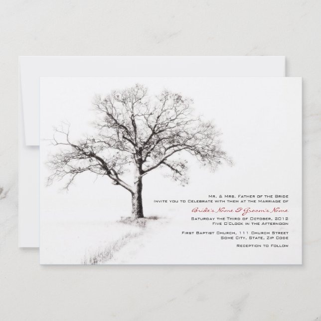 Black and White Winter Wedding Invitations (Front)