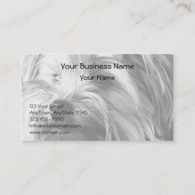 Black and White Yorkshire Terrier Yorkie Portrait Business Card (Front)