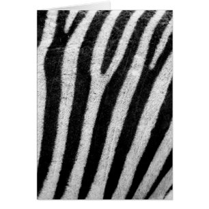 Black and White Zebra Hair Stripes