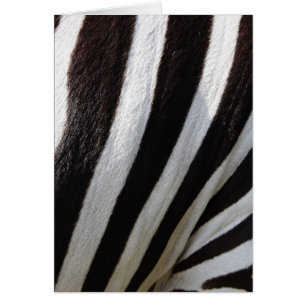 Black and White Zebra Hair Stripes