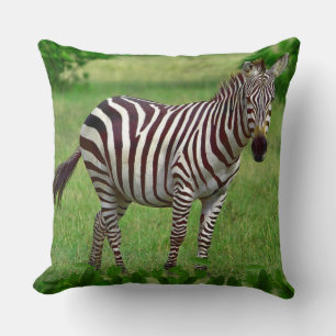 Black and white zebra on the jungle cushion