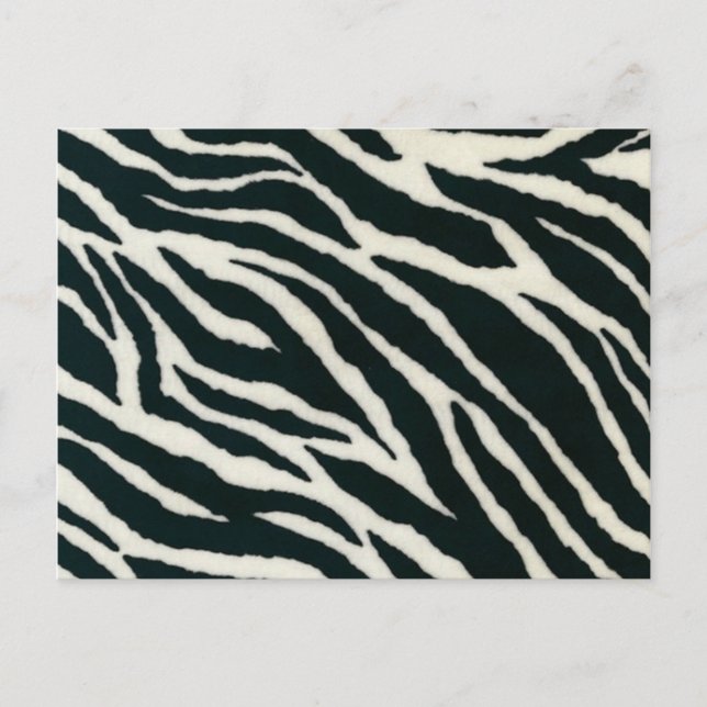 Black and White Zebra Print Postcards (Front)