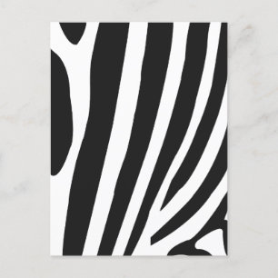 Black and White Zebra Stripes  Postcard