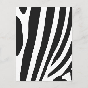 Black and White Zebra Stripes  Postcard