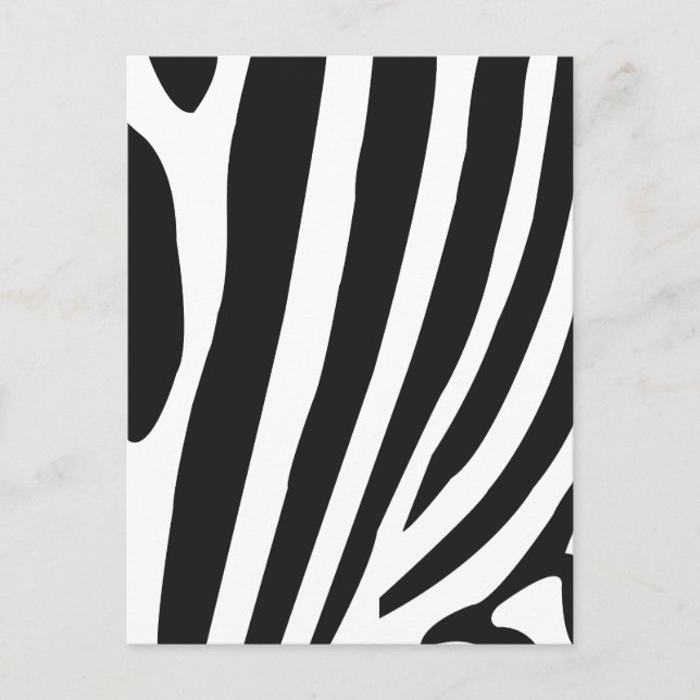 Black and White Zebra Stripes  Postcard (Front)
