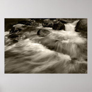 Black and Whitewash Poster