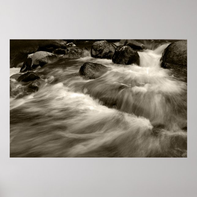 Black and Whitewash Poster (Front)