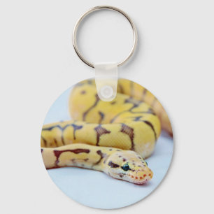 Black and Yellow Ball Python 2 Key Ring